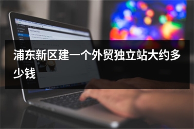 [year]浦东新区建一个外贸独立站大约多少钱