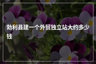 [year]勃利县建一个外贸独立站大约多少钱