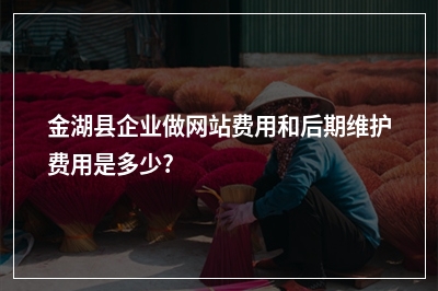 [year]金湖县企业做网站费用和后期维护费用是多少?