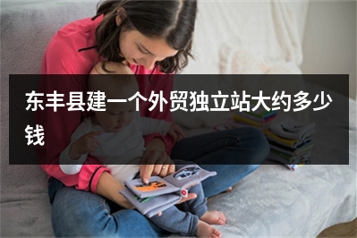 [year]东丰县建一个外贸独立站大约多少钱