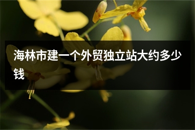 [year]海林市建一个外贸独立站大约多少钱
