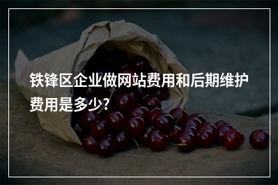 [year]铁锋区企业做网站费用和后期维护费用是多少?