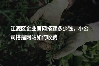 [year]江源区企业官网搭建多少钱，小公司搭建网站如何收费