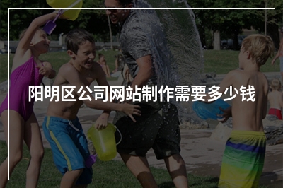 [year]阳明区公司网站制作需要多少钱