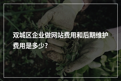 [year]双城区企业做网站费用和后期维护费用是多少?