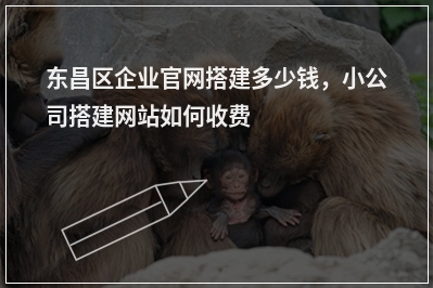 [year]东昌区企业官网搭建多少钱，小公司搭建网站如何收费