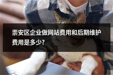[year]崇安区企业做网站费用和后期维护费用是多少?