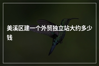 [year]美溪区建一个外贸独立站大约多少钱
