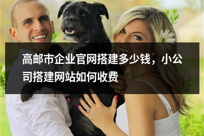 [year]高邮市企业官网搭建多少钱，小公司搭建网站如何收费
