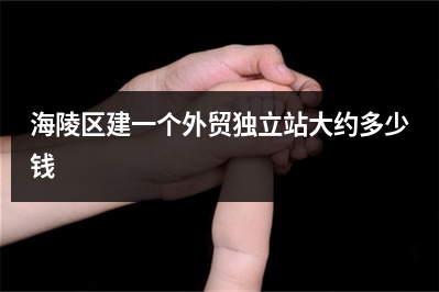 [year]海陵区建一个外贸独立站大约多少钱