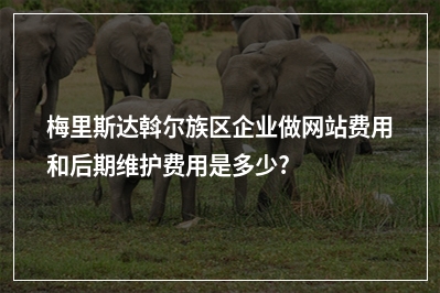 [year]梅里斯达斡尔族区企业做网站费用和后期维护费用是多少?