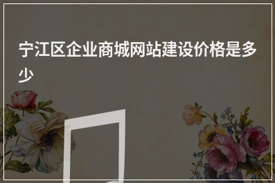 [year]宁江区企业商城网站建设价格是多少