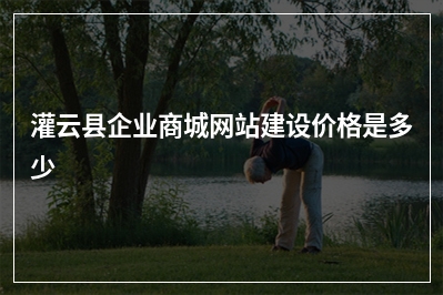 [year]灌云县企业商城网站建设价格是多少