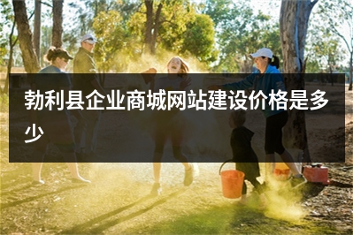 [year]勃利县企业商城网站建设价格是多少