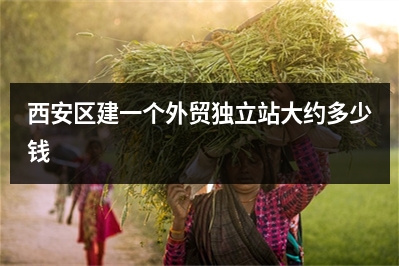 [year]西安区建一个外贸独立站大约多少钱