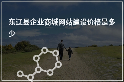 [year]东辽县企业商城网站建设价格是多少