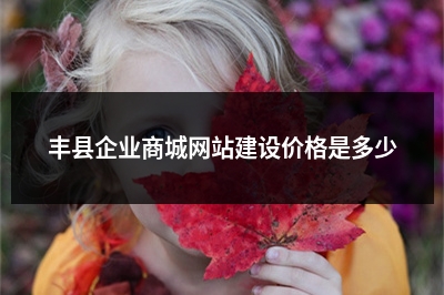 [year]丰县企业商城网站建设价格是多少