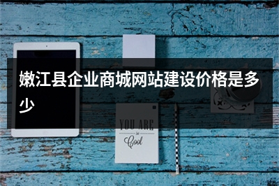 [year]嫩江县企业商城网站建设价格是多少