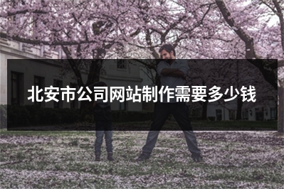[year]北安市公司网站制作需要多少钱