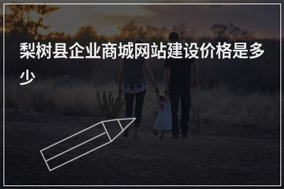 [year]梨树县企业商城网站建设价格是多少