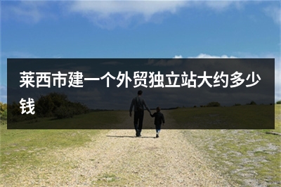 [year]莱西市建一个外贸独立站大约多少钱