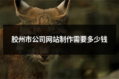 [year]胶州市公司网站制作需要多少钱