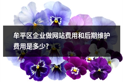 [year]牟平区企业做网站费用和后期维护费用是多少?