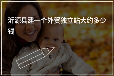 [year]沂源县建一个外贸独立站大约多少钱