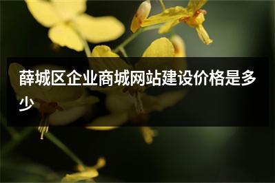 [year]薛城区企业商城网站建设价格是多少
