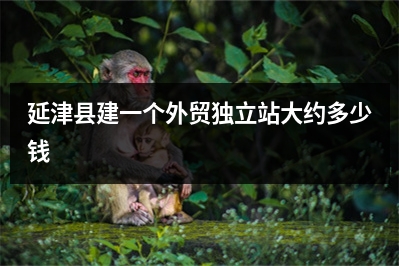 [year]延津县建一个外贸独立站大约多少钱