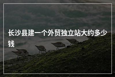 [year]长沙县建一个外贸独立站大约多少钱