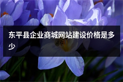 [year]东平县企业商城网站建设价格是多少