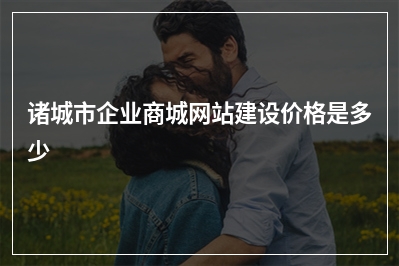 [year]诸城市企业商城网站建设价格是多少