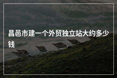 [year]昌邑市建一个外贸独立站大约多少钱