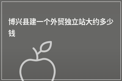 [year]博兴县建一个外贸独立站大约多少钱