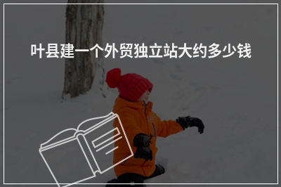 [year]叶县建一个外贸独立站大约多少钱
