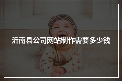 [year]沂南县公司网站制作需要多少钱