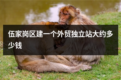 [year]伍家岗区建一个外贸独立站大约多少钱