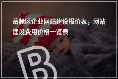 [year]岳麓区企业网站建设报价表，网站建设费用价格一览表