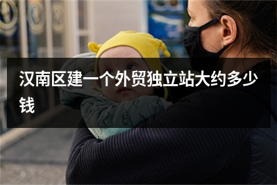 [year]汉南区建一个外贸独立站大约多少钱