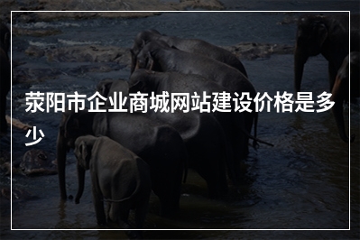 [year]荥阳市企业商城网站建设价格是多少