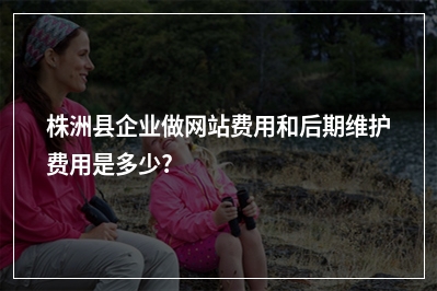 [year]株洲县企业做网站费用和后期维护费用是多少?