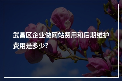 [year]武昌区企业做网站费用和后期维护费用是多少?