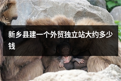 [year]新乡县建一个外贸独立站大约多少钱