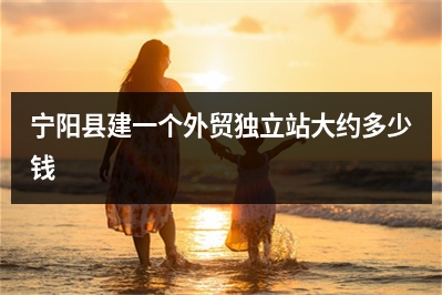 [year]宁阳县建一个外贸独立站大约多少钱