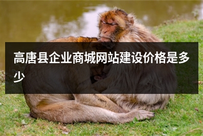[year]高唐县企业商城网站建设价格是多少