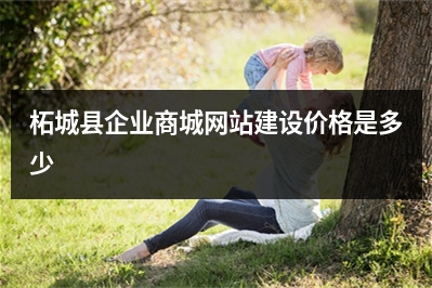 [year]柘城县企业商城网站建设价格是多少