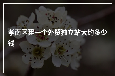 [year]孝南区建一个外贸独立站大约多少钱