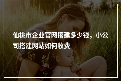[year]仙桃市企业官网搭建多少钱，小公司搭建网站如何收费