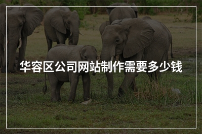 [year]华容区公司网站制作需要多少钱